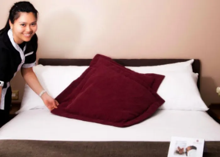 Belvedere Hotel, Centre Hotell Dublin